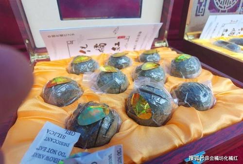 化州舉辦化橘紅文化藝術交流暨封壇活動 傳承千年文化，共襄盛舉